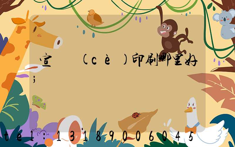 宣傳冊(cè)印刷哪里好