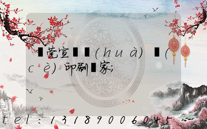 東莞宣傳畫(huà)冊(cè)印刷廠家