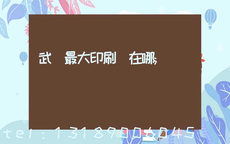 武漢最大印刷廠在哪